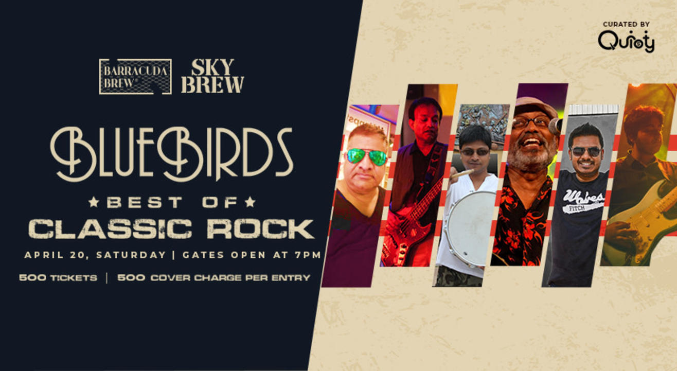 Blue Birds Live in Chennai at Barracuda Brew