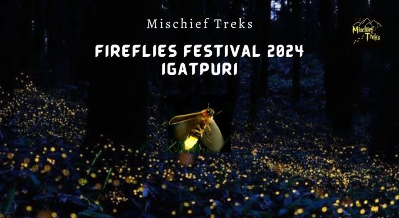 Igatpuri Fireflies Festival 2024 | Mischief Treks | Aquanest Camping Watersports