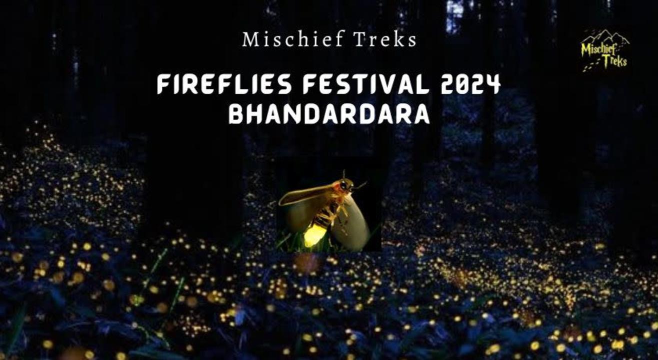 BHANDARDARA FIREFLIES FESTIVAL 2024 | Mischief Treks