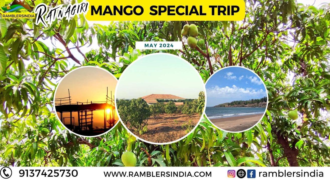 Ratnagiri Mango Special Trip