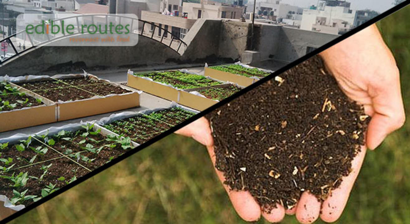 Intro to Urban Farming + Composting & Waste Management