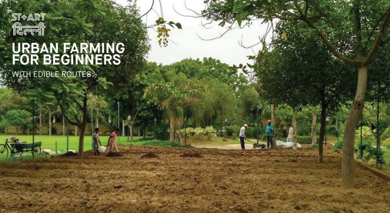 Urban Farming for Beginners with Edible Routes