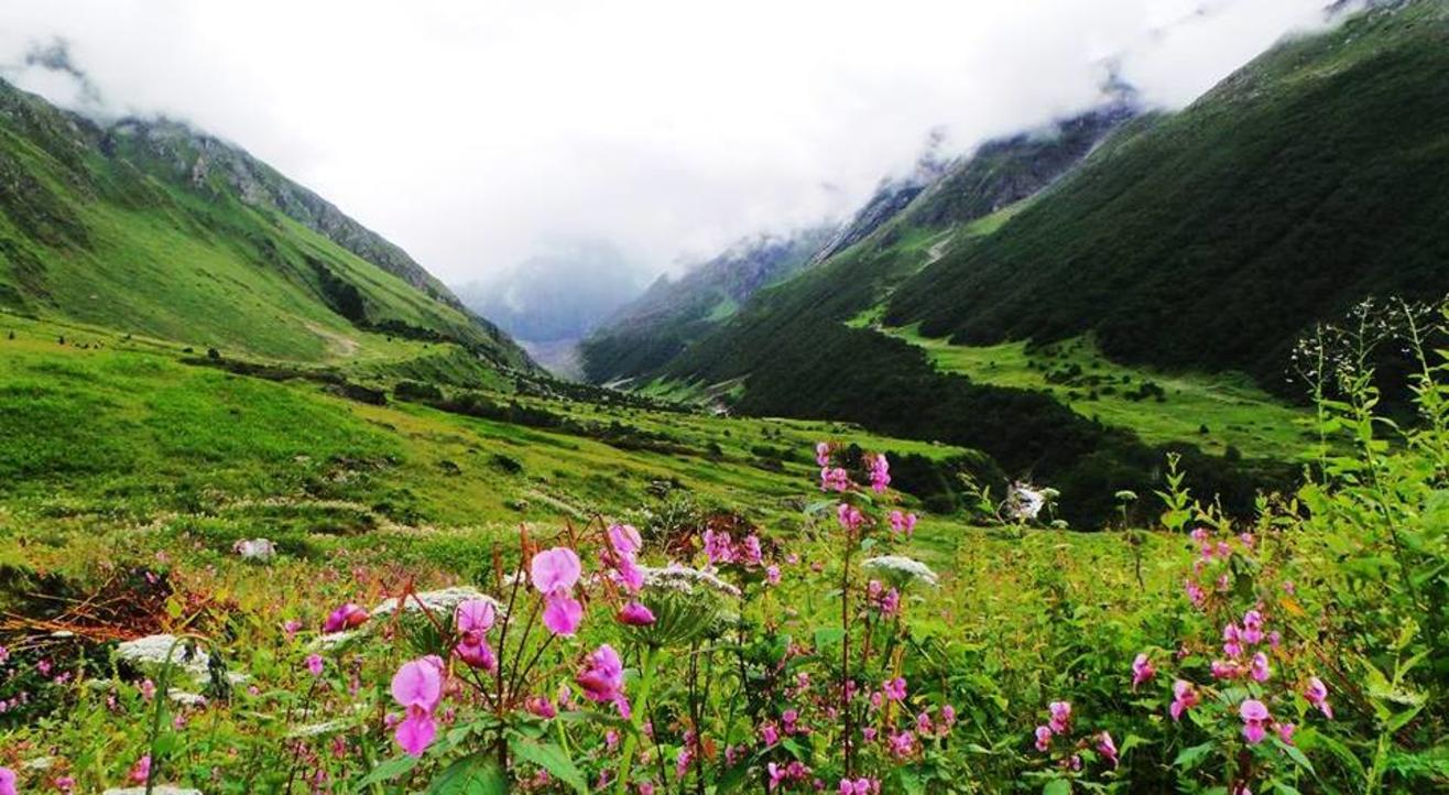 Valley of Flowers Trek YHAI