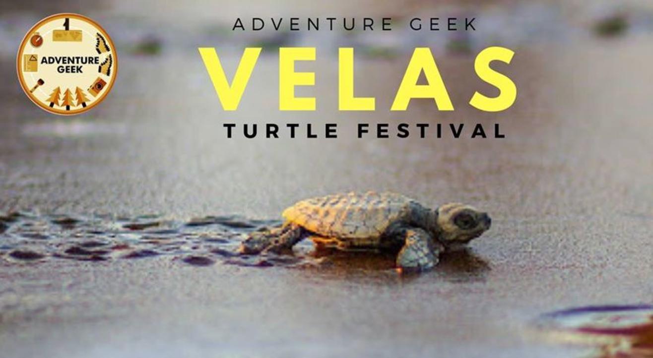 Velas Turtle Festival 2020 From Mumbai by Ac bus Adventure Geek