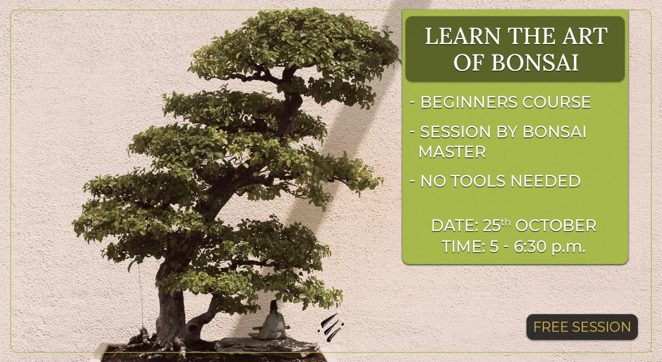Learn the Art of Bonsai