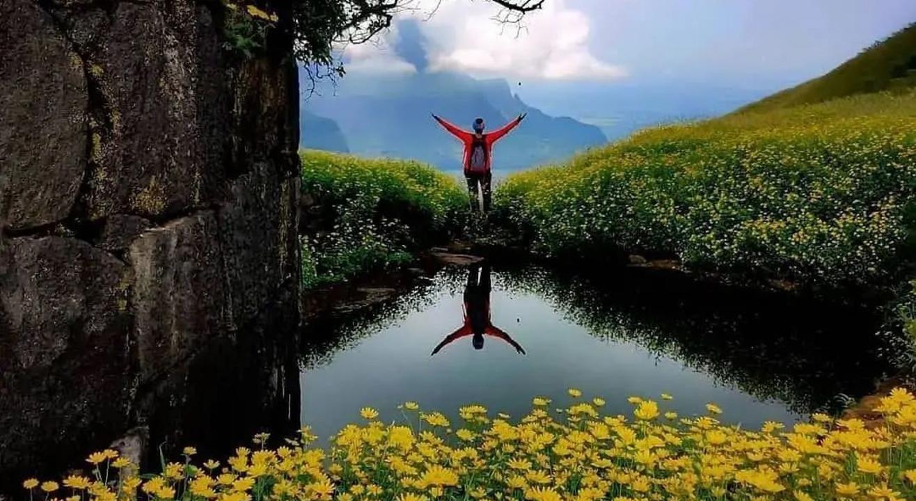 ratangad flowers trek from pune