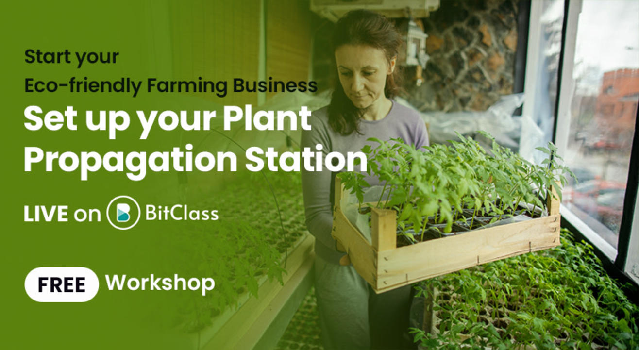 Set up your Plant Propagation Station Start your Ecofriendly Farming