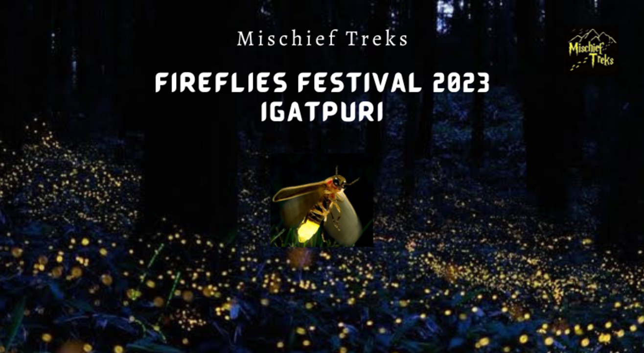 Igatpuri Fireflies Festival 2024 Mischief Treks Camping