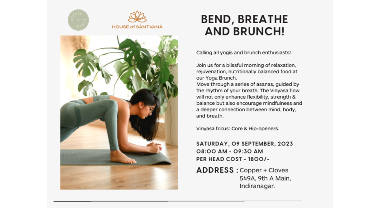 16+ How Do Plants Breath EzaraFardows