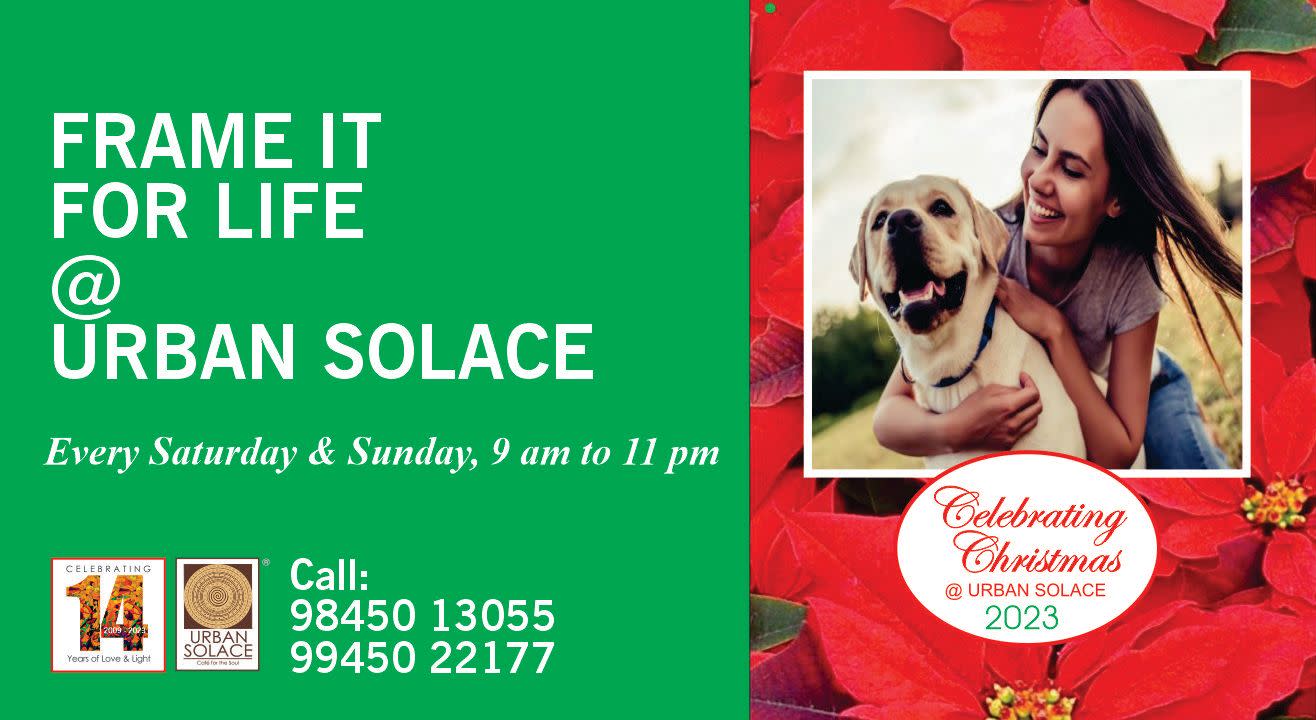 Frame it for Life Christmas Special!