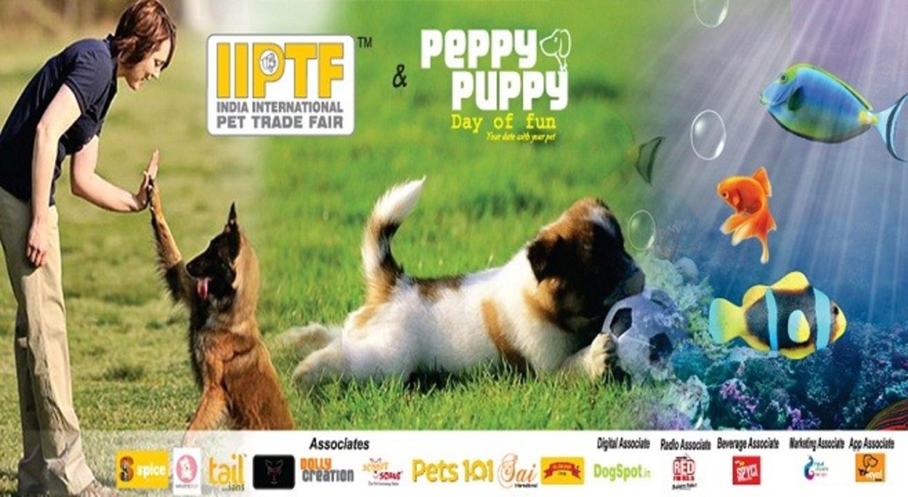 Book tickets to India International Pet Trade Fair2017 Book tickets to India International Pet Trade Fair2017
