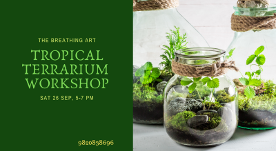 Terrarium Workshop