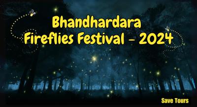 Fireflies Festival Special Bhandardara Tour