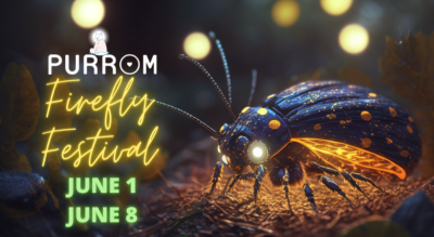 Firefly Festival 