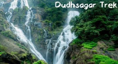 Dudhsagar Waterfall trek & Goa sight seeing