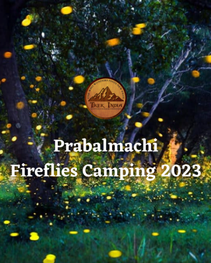 FireFlies Special Prabalmachi | Trek India