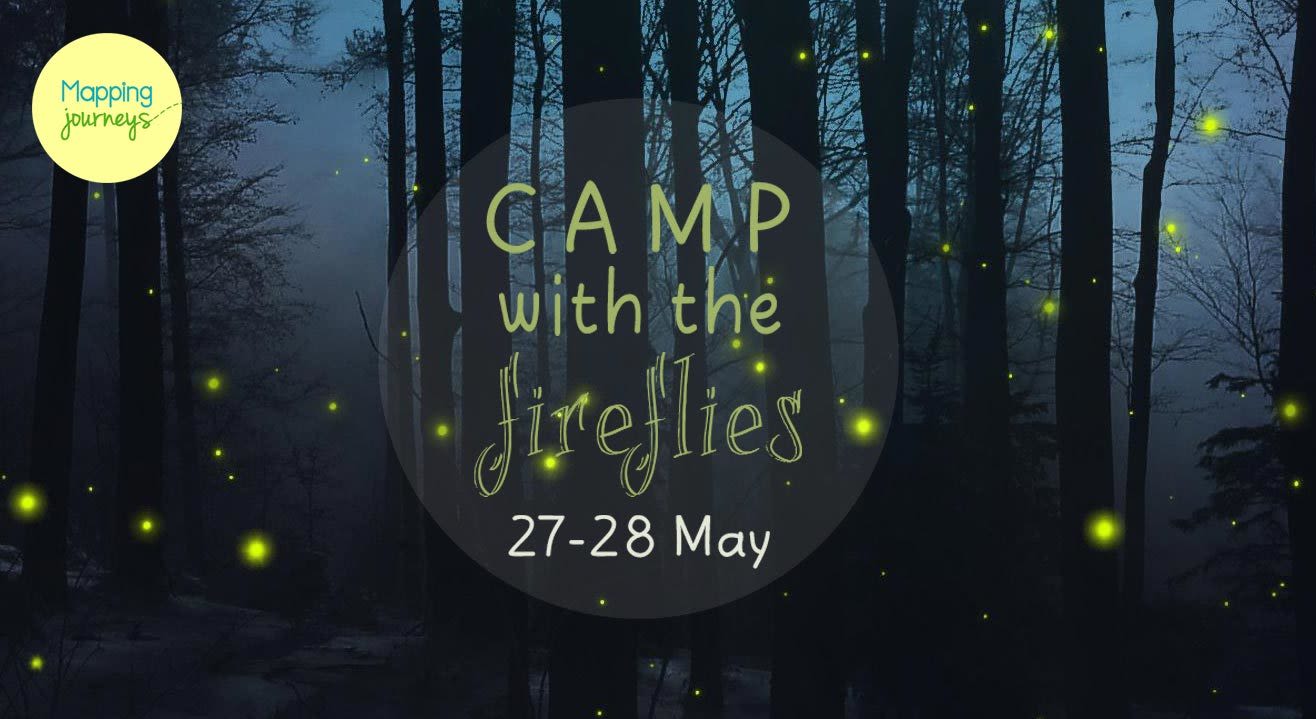 Camping With The Fireflies