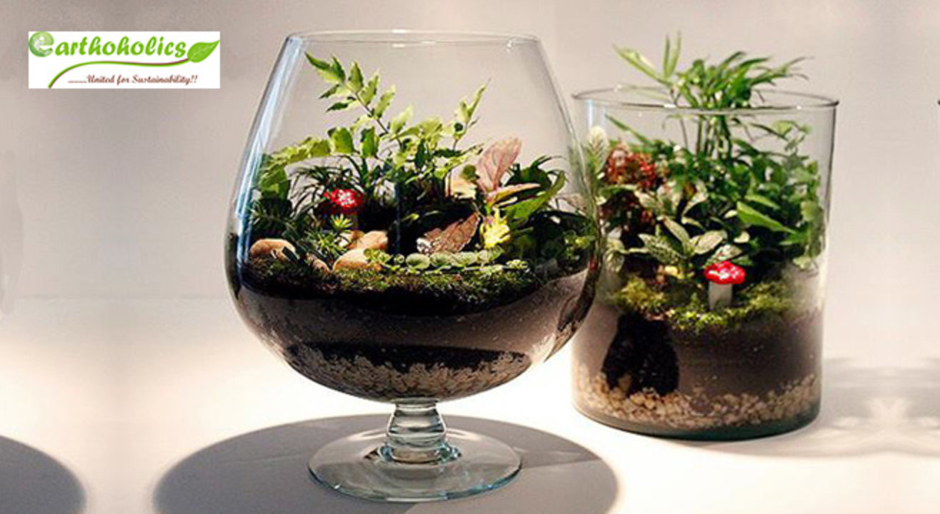 Terrarium (Miniature Gardening) Workshop by Earthoholics