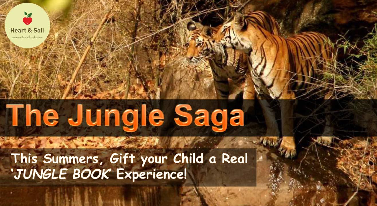 The Jungle Saga @ Pench National Park