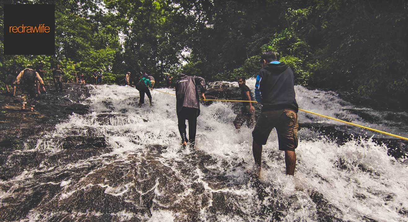 Into The Wild At Thattekkad