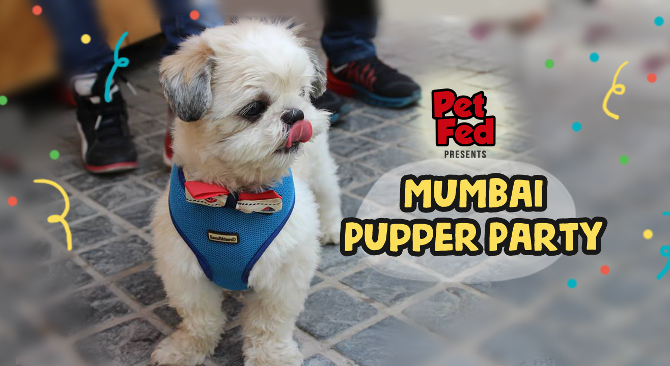 Mumbai Pupper Party