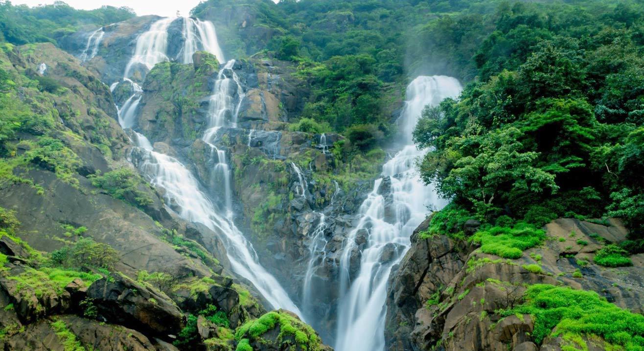 Dudhsagar Waterfall & Jungle Trek