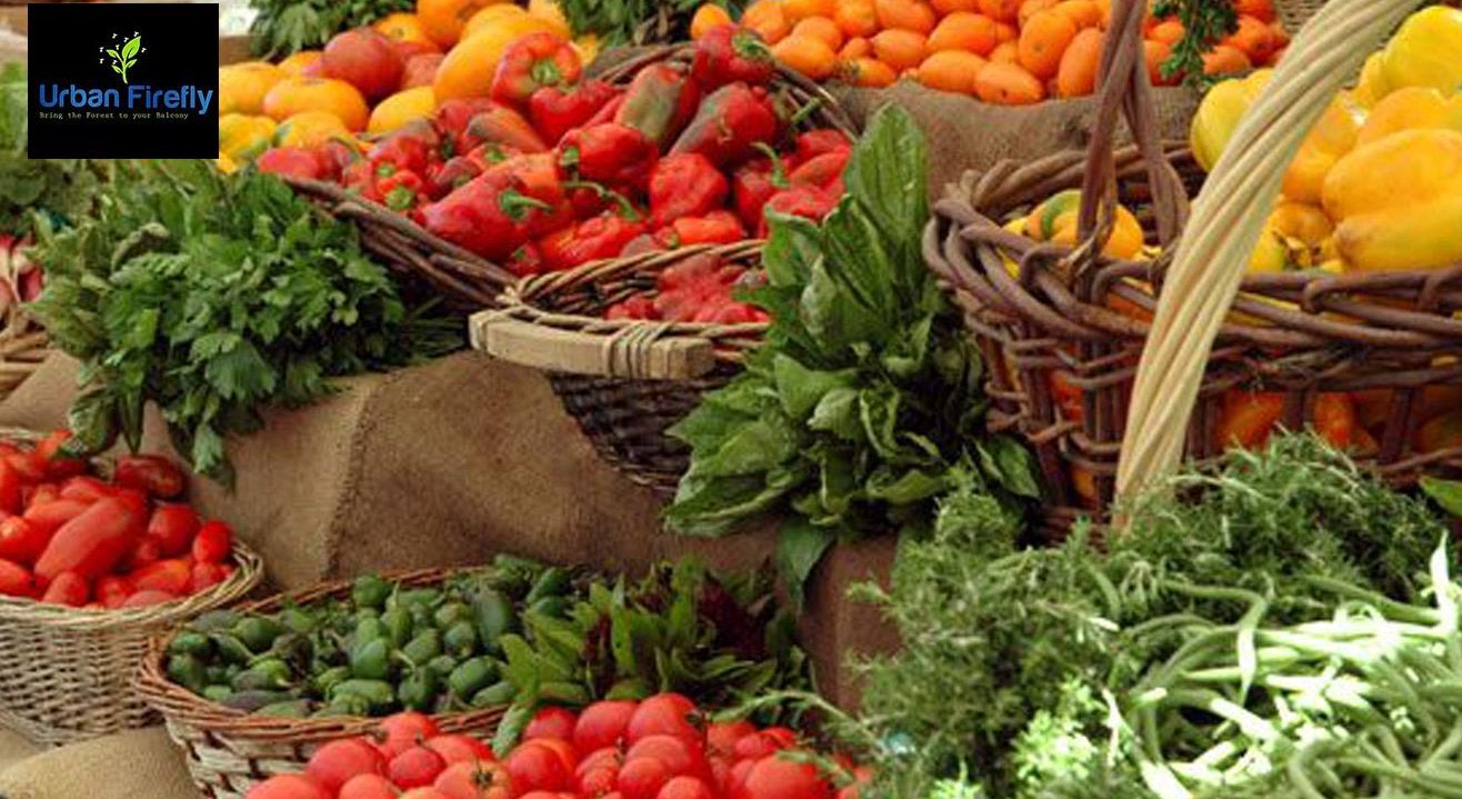 Organic Kitchen Gardening Workshop by Urban Firefly