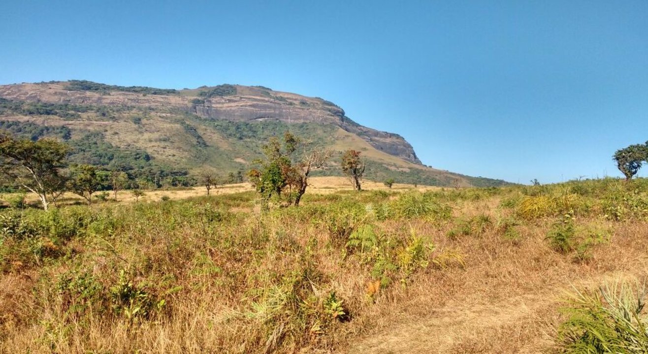 Kotebetta Coorg Trek with Plan The Unplanned