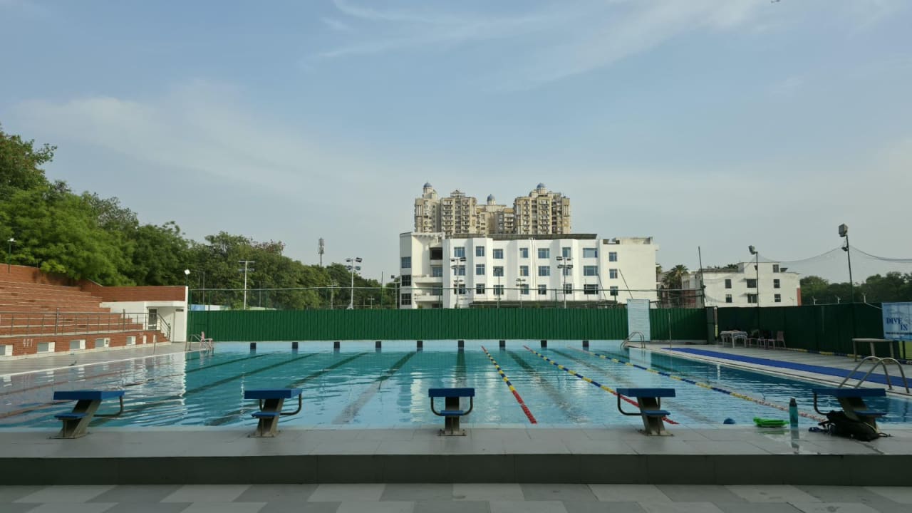 Dive-In Aquatics