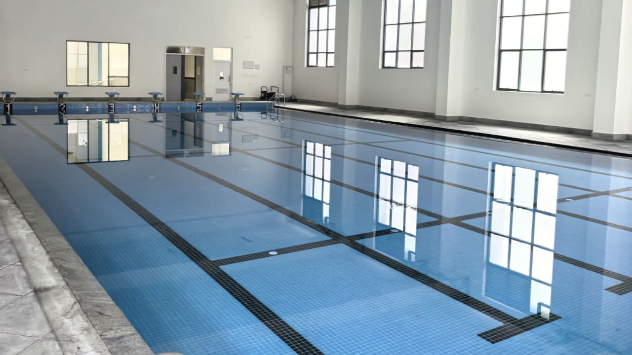 SwimLife - DPS South
