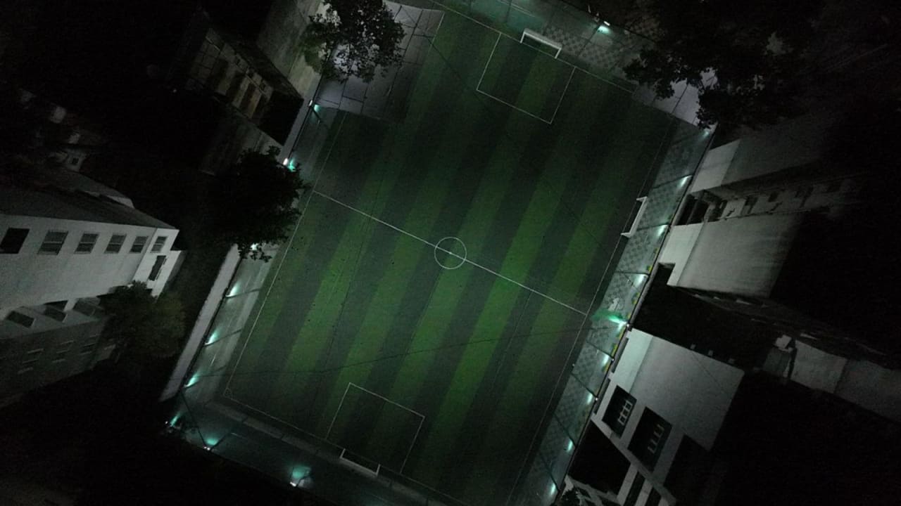 Green Vibes Turf