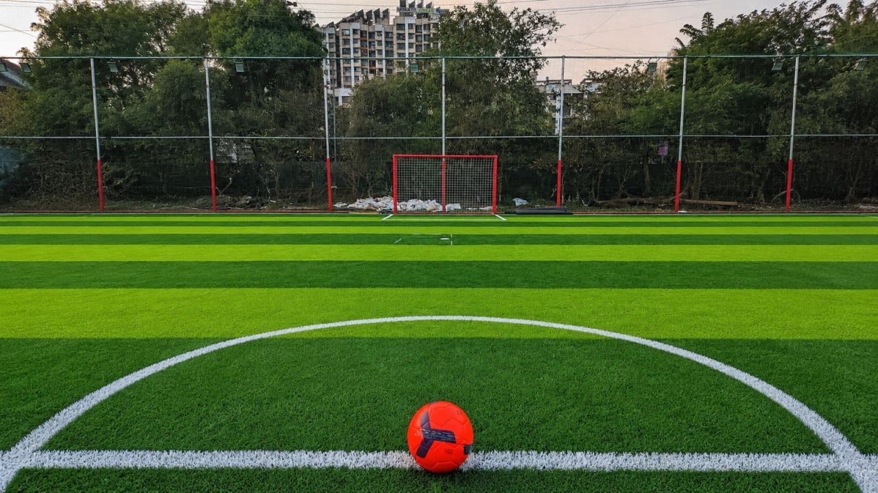 Maestro Turf and Sports