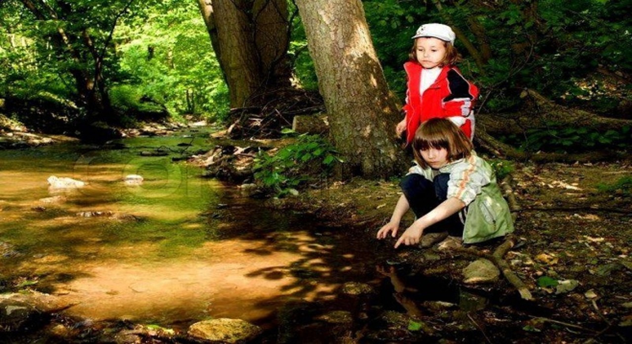 Camp Woods for Seniors