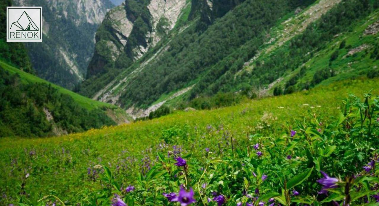 Valley of Flowers |  Renok Adventures