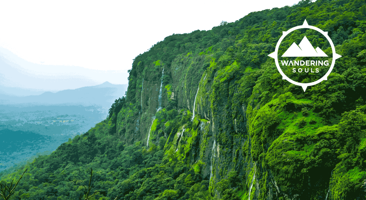 Trek to Bhimashankar via. Shidi Ghat