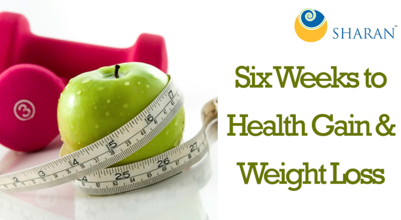 Six Weeks to Health Gain & Weight Loss