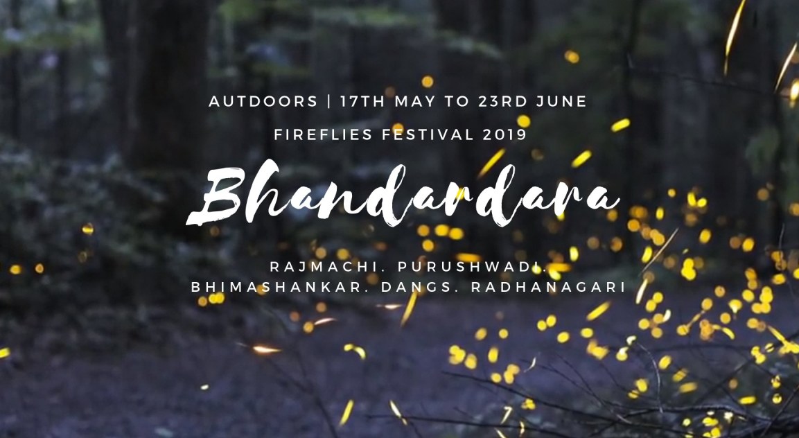 Fireflies Festival - Bhandardara