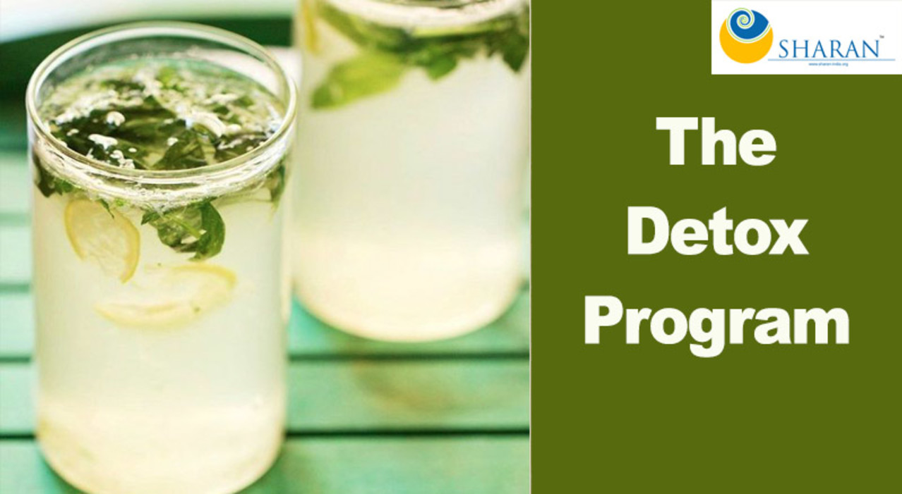 The Detox Program