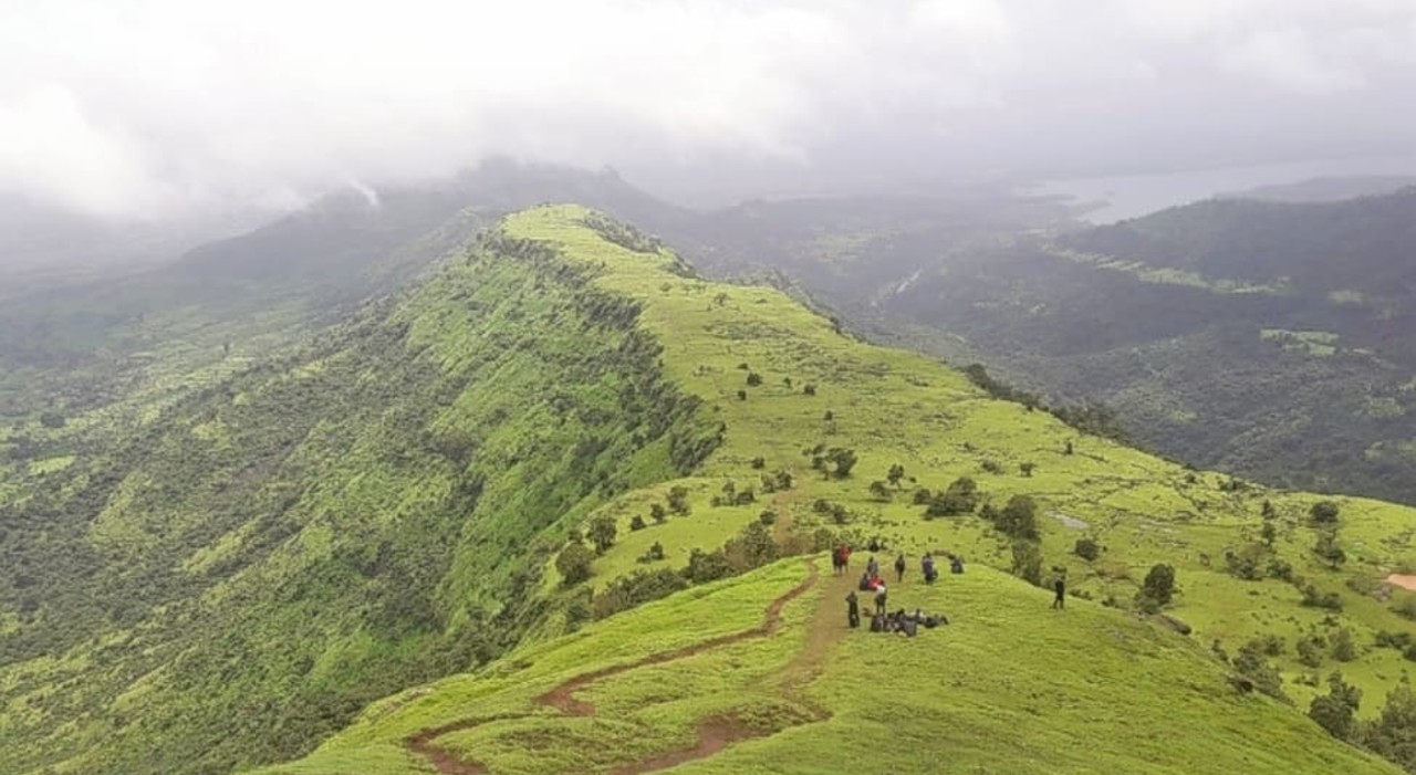 One Day Trek - Garbett Point