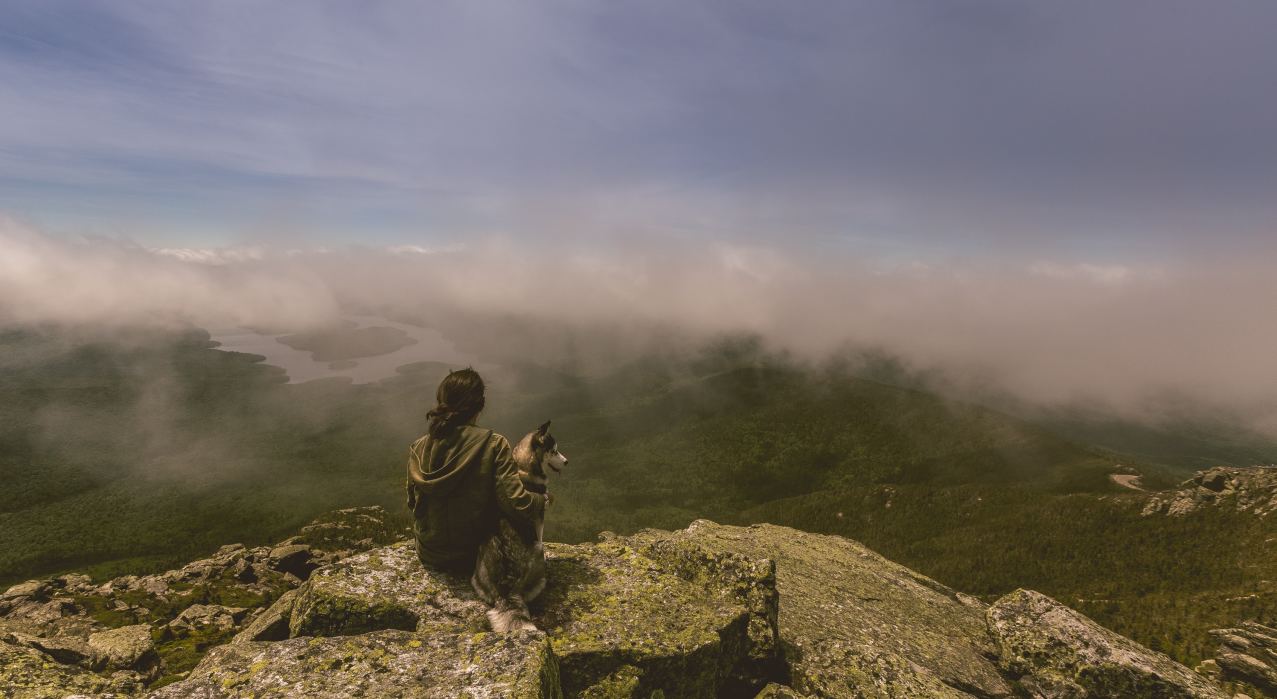 Trek With Your Pet - Shivanasamudra | Plan The Unplanned
