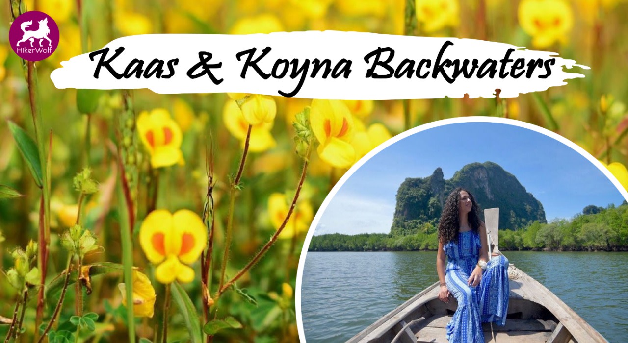 HikerWolf Trip to Kaas Plateau & Koyna Waterfall