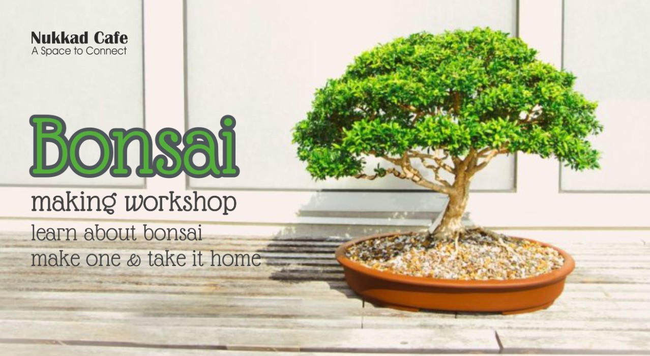 Bonsai Workshop
