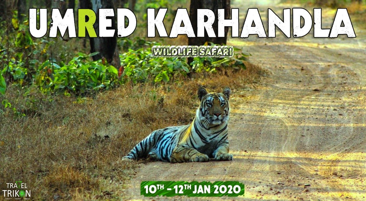 Umred Karhandla Jungle Safari