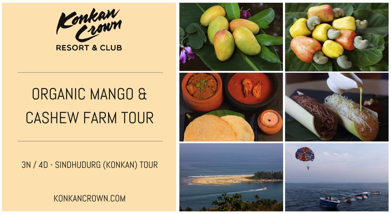 Organic Mango & Cashew Farm Tour in Sindhudurg