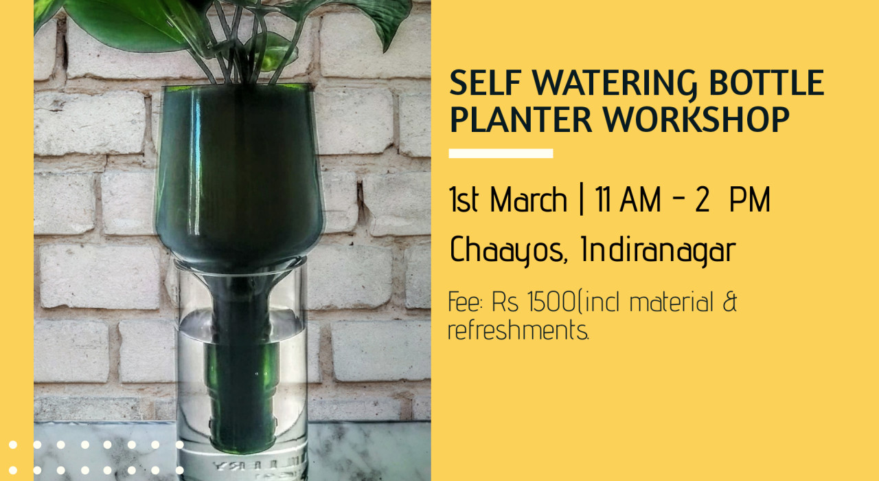 Self watering bottle planter workshop