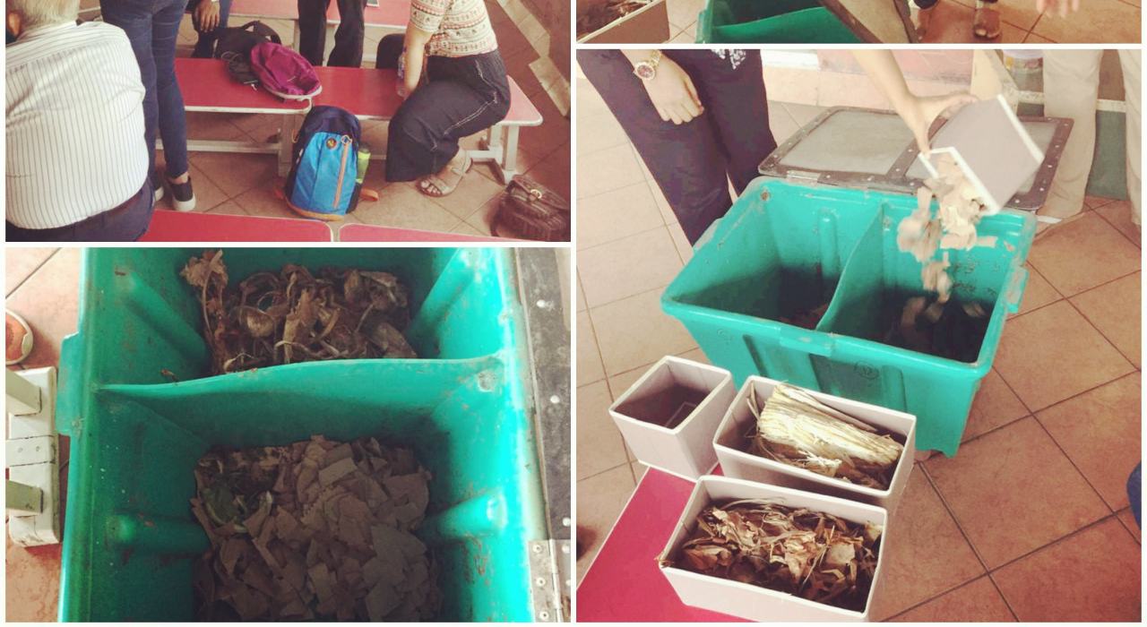 Learn how to Compost! With Qtrove Academy.
