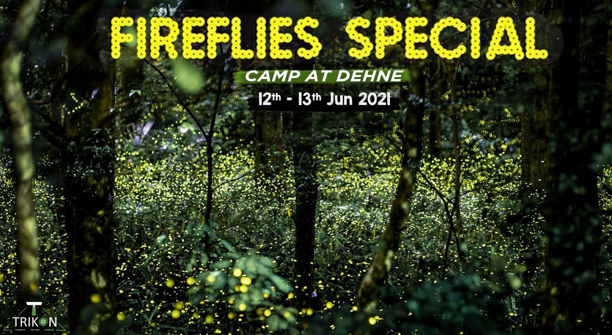 Fireflies Special Camp at Dehne with Trikon