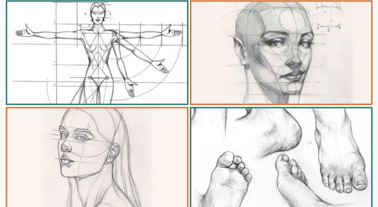 Anatomy Sketching - 12 Sessions (3 Months) 