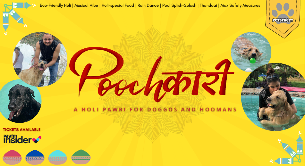 Poochkari - Holi Pawri For Dogs & Hoomans | Holi 2022