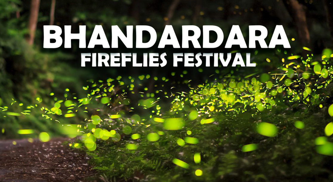 Fireflies Bhandardara Camping | TripAdvisor Tour